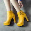 Y2K Platform Ankle Boots